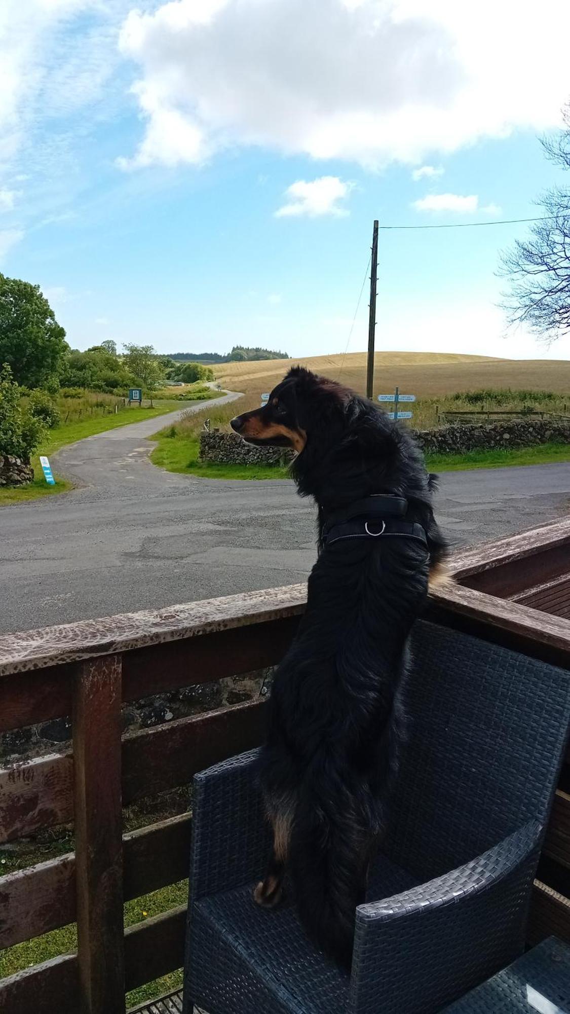 Baytree Lodge At Three Lochs Holiday Park, New Ask About Our Packages Birthday ,Anniversary,Family,Pamper Packages Available Balminnoch Экстерьер фото